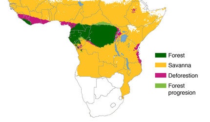 A map of central and southern Africa detailing areas of deforestation.