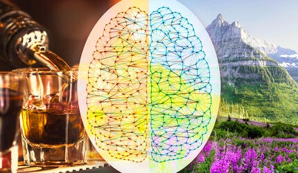 Alcohol being poured into a glass, illustration of brain connections, and an outdoor scene of flowers and mountains