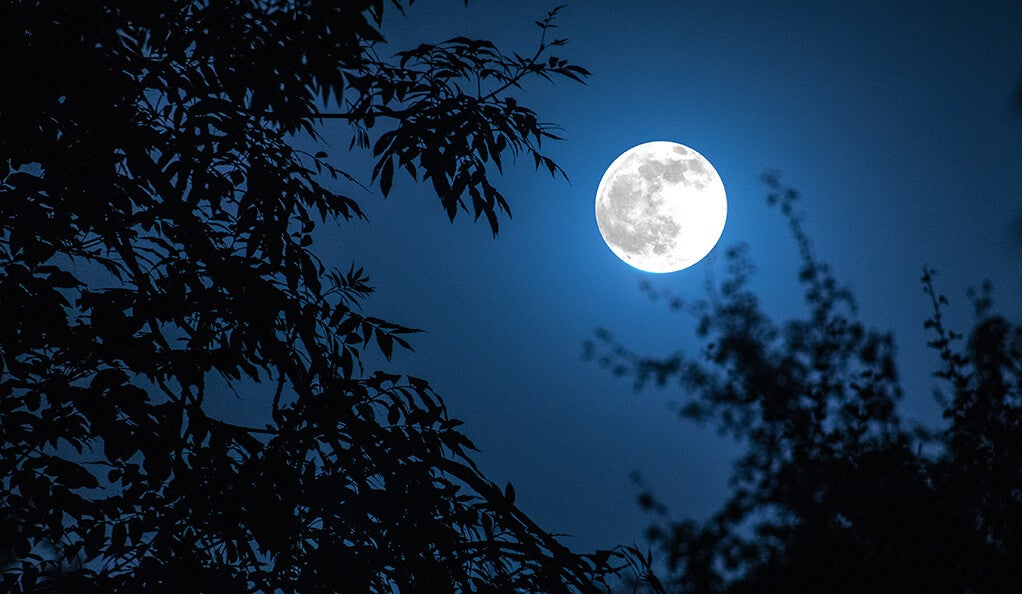 No tricks — just a Halloween Blue Moon