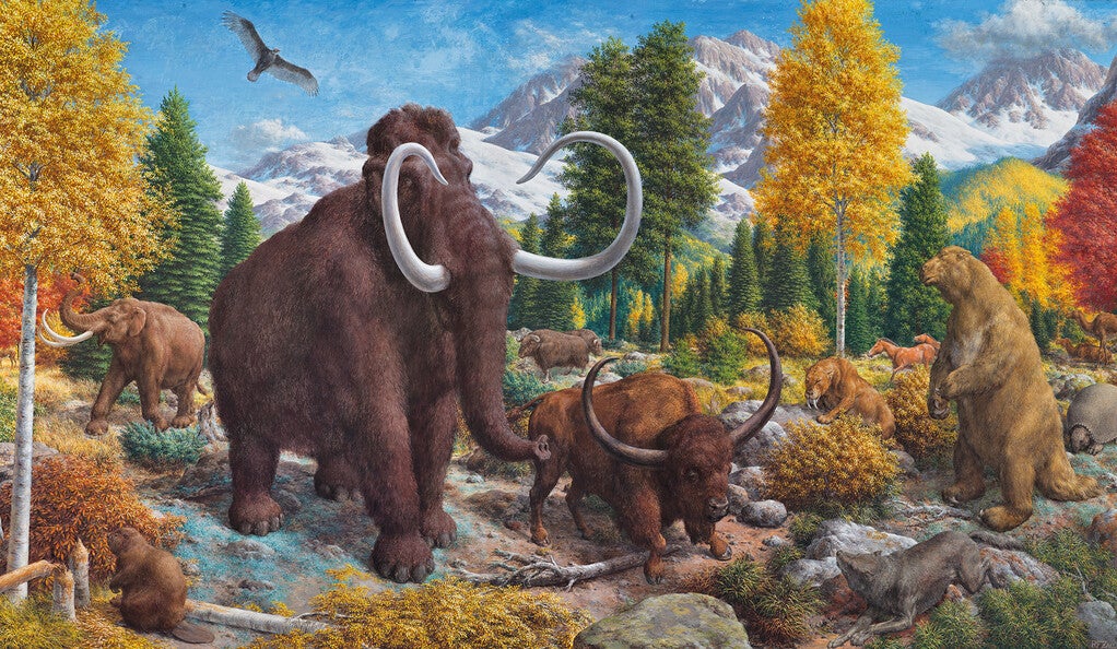 The Age of Mammals, a mural by Rudolph F. Zallinger.
