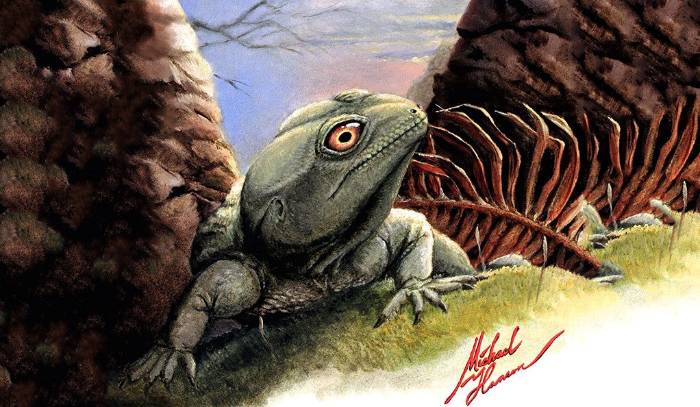 An artist’s rendering of the prehistoric lizard Colobops noviportensis