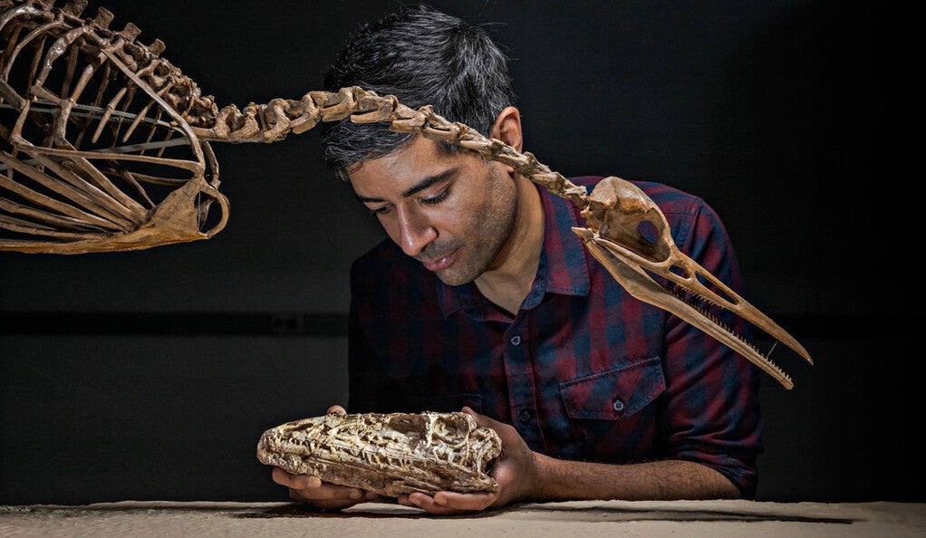 Bhart-Anjan Bhullar with fossils