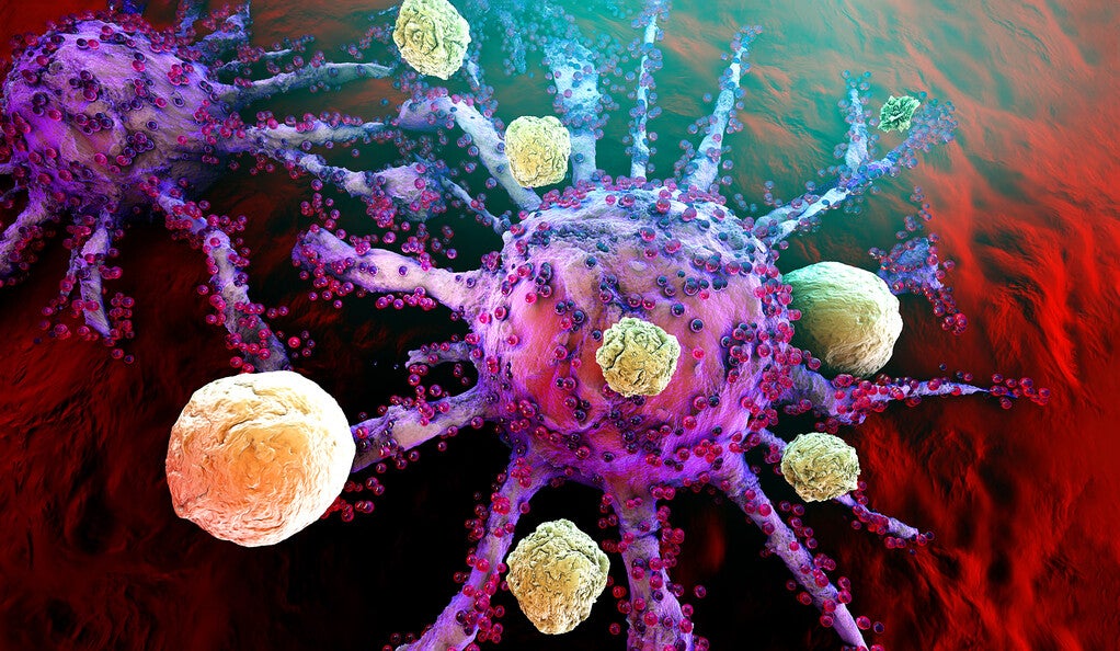 Illustration of T cells attacking cancer