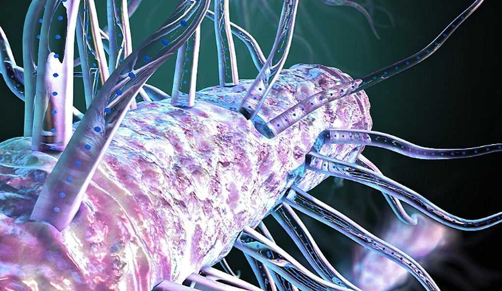 Illustration of closeup view of bacterial hairs.