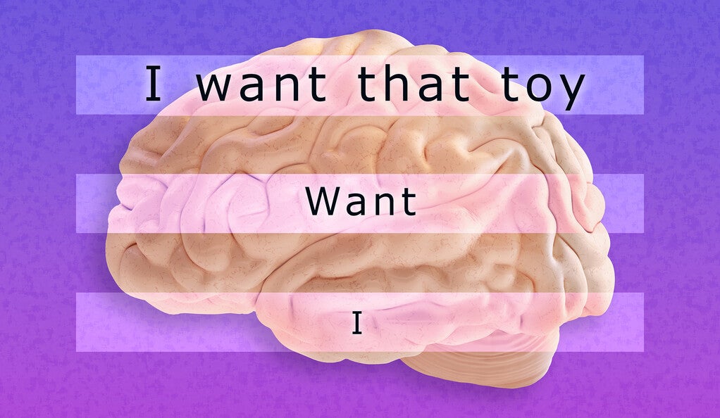 Brain with text overlay — I, Want, I want that toy.