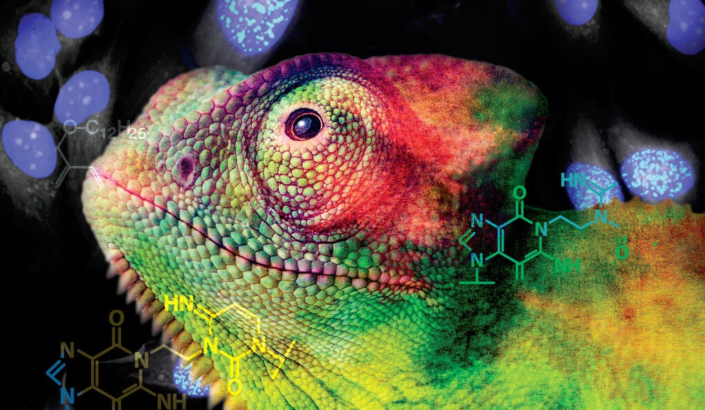 A chameleon surrounded by molecule diagrams
