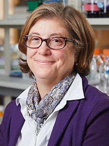 Dr. Susan Baserga 