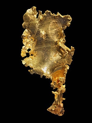 California gold on display at the Peabody Museum of Natural History