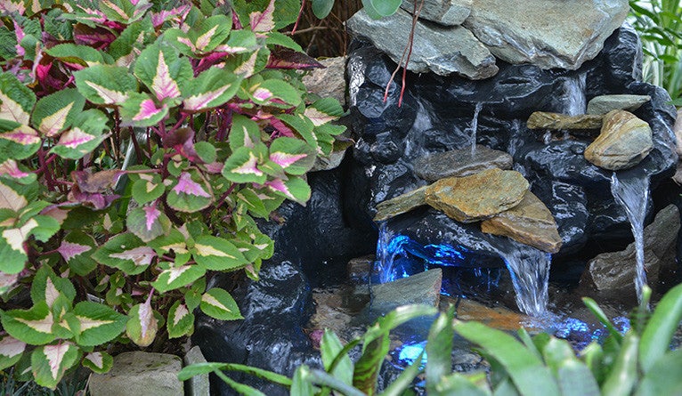 A small stream trickles over rocks with lush plantlife nearby.