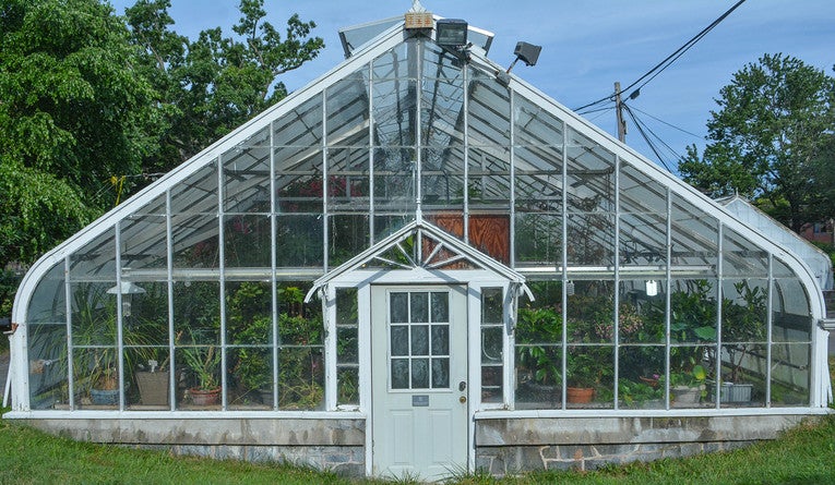 One of the garden’s six greenhouses