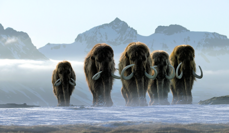 A herd of Mammoths walking through a frozen landscape