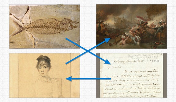 Example of connections between a fossil, a painting, a sketch, and a letter in Yale’s collections