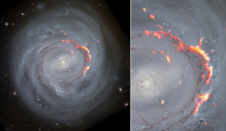 This side-by-side composite shows ALMA (red/orange) data laid over Hubble Space Telescope (optical) images of NGC4921