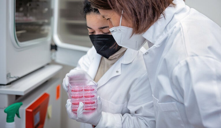 Scientists examining petri dishes