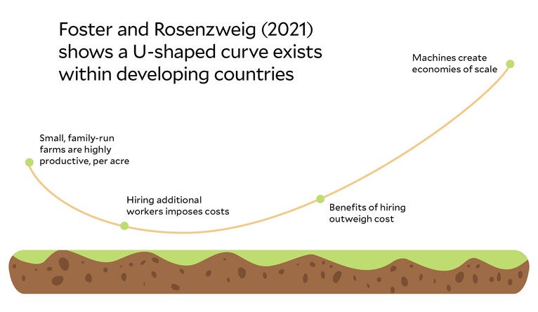 Farm size and productivity: Foster and Rosenzweig shows a U-shaped curve exists in developing countries.