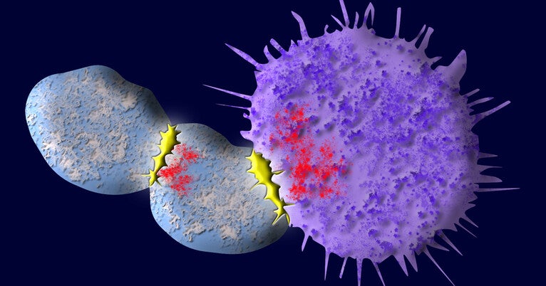 Tail spin: Study reveals new way to reduce friendly fire in cell therapy